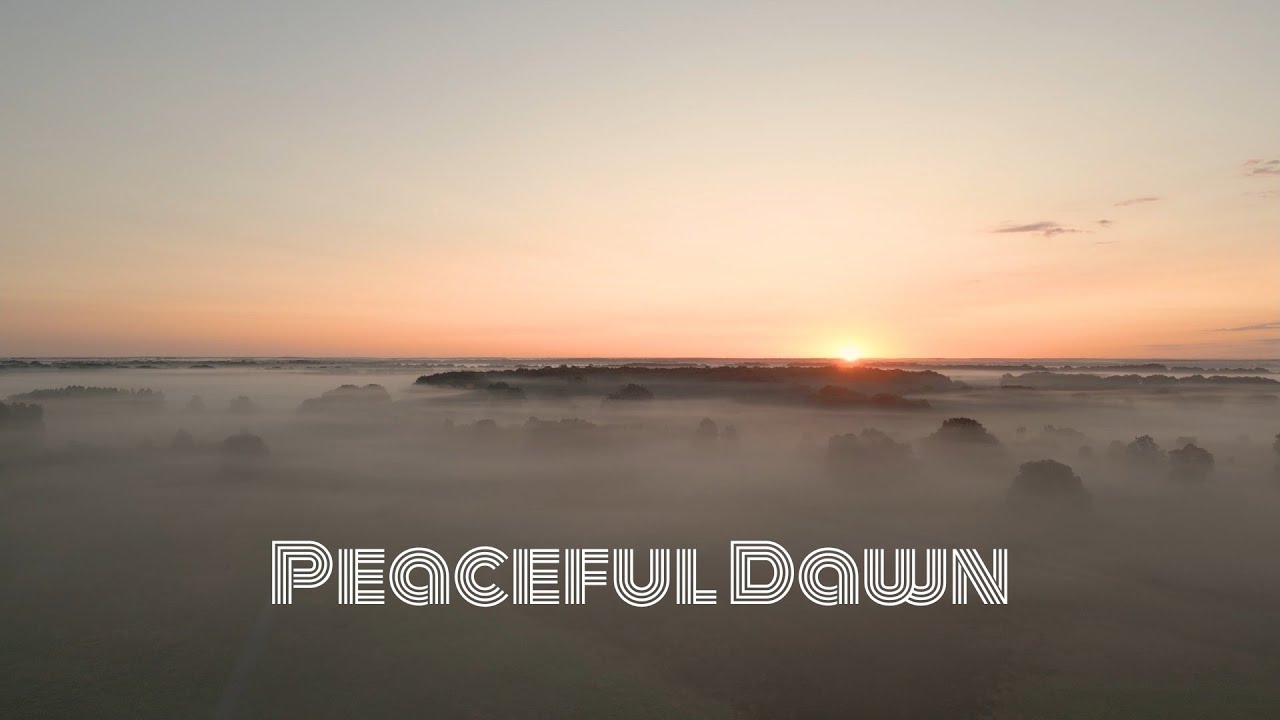 Peaceful Dawn (Official Audio) - Ari Amnan 
