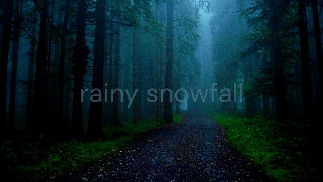 &oslash;neheart x reidenshi - rainy forest snowfall for relax, reduce anxiety, and sleep deeply