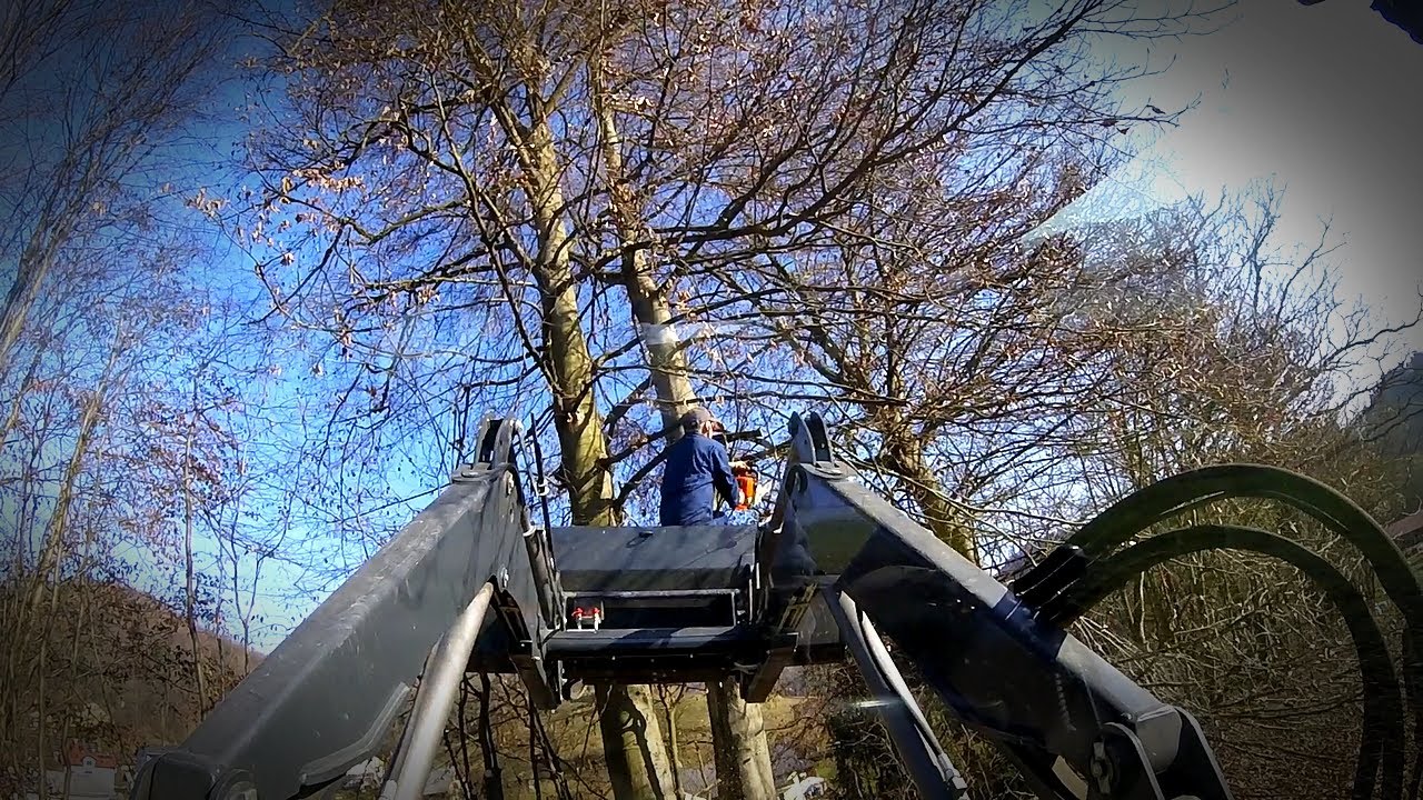 Liquid molasses and tree trimming