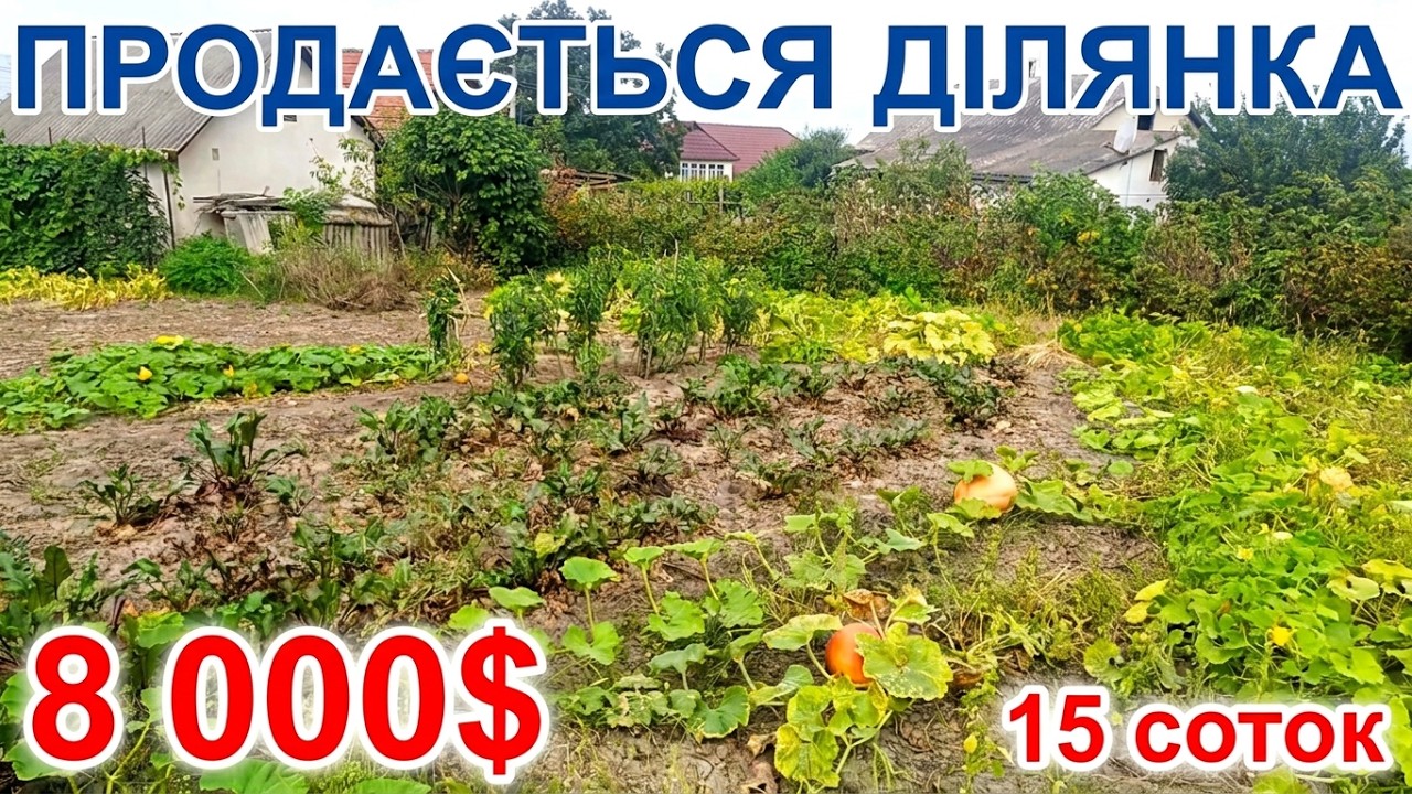 Огляд ділянки з будинком у місті. Тернопільська область.