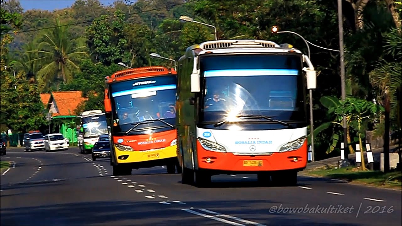 BUS BERGOYANG Melewati Jalan Raya Jogja - Wates