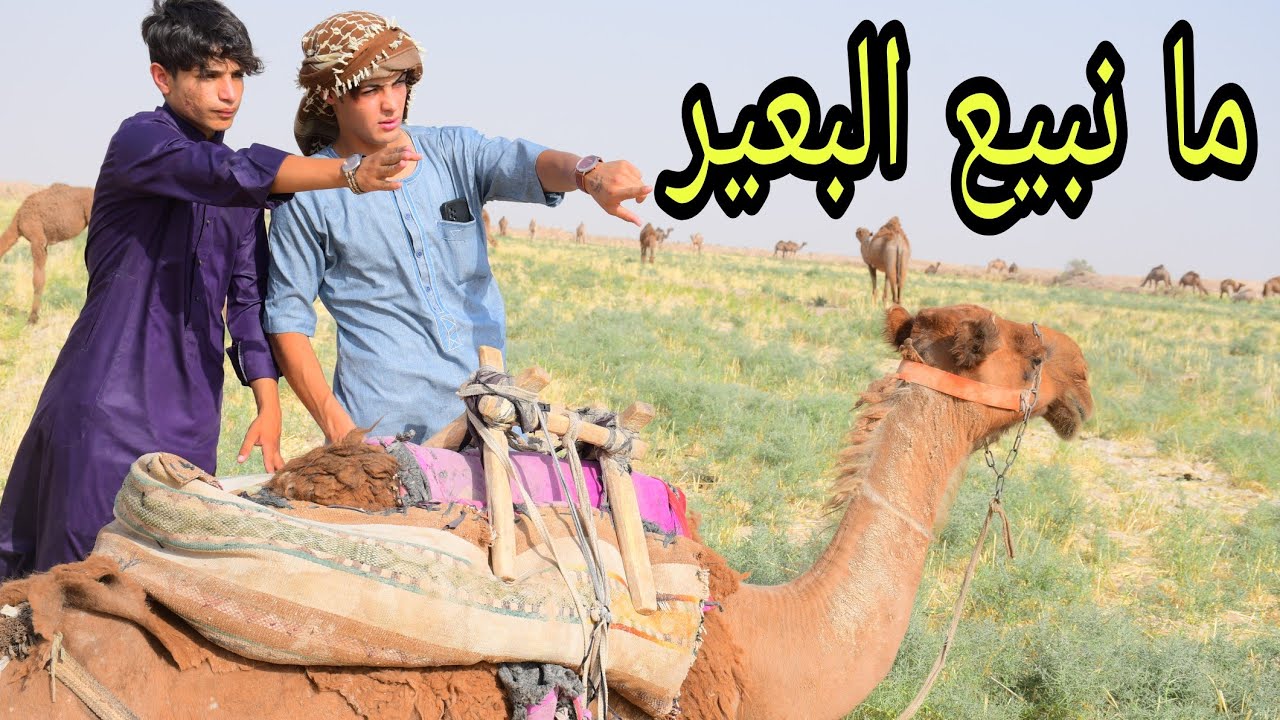 فلم قصير.  الحلال العزيز في عيد الأضحى