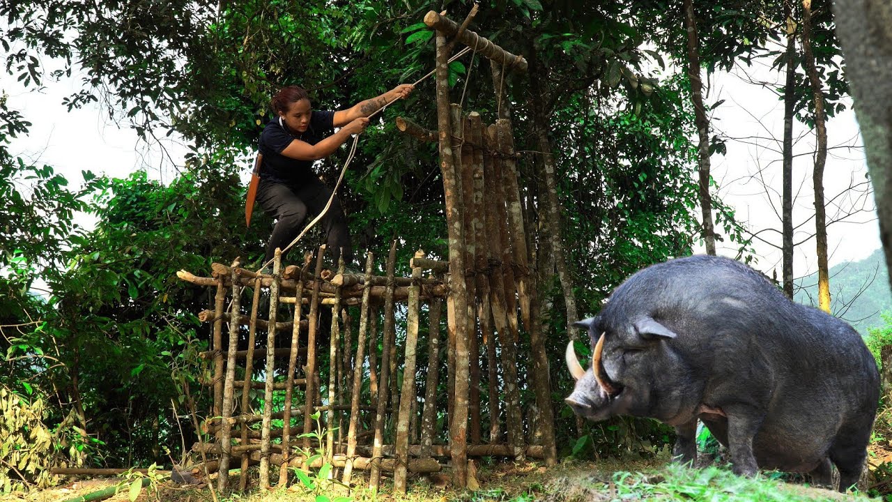 FULL: 100 days of ambushing and trapping wild boars, hunting stream fish \ phượng pú