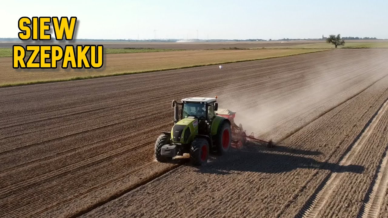 🍞🚜Siew rzepaku 2020🦅💪 Claas Axion 810&Maschio Gaspardo Aliante 300🐂👍
