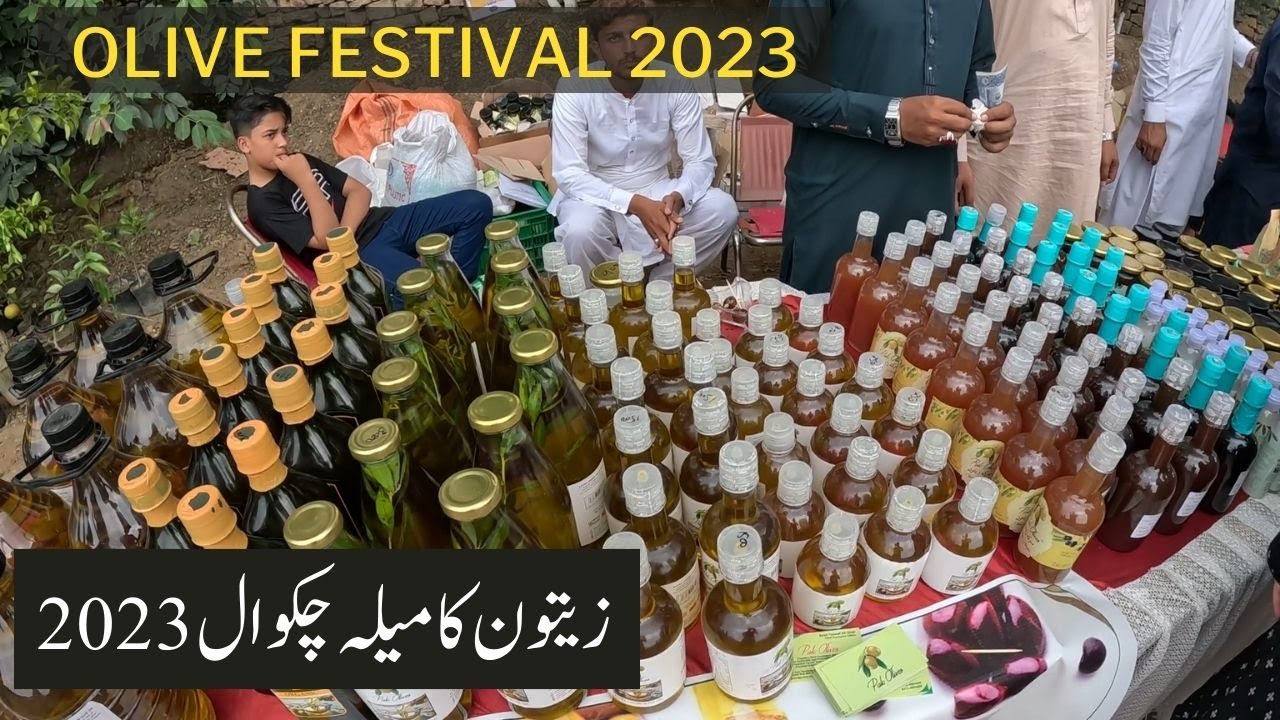 Olive Festival Kallar Kahar 2023| Zaitoon Mela Chakwal| Ali Mohiuddin