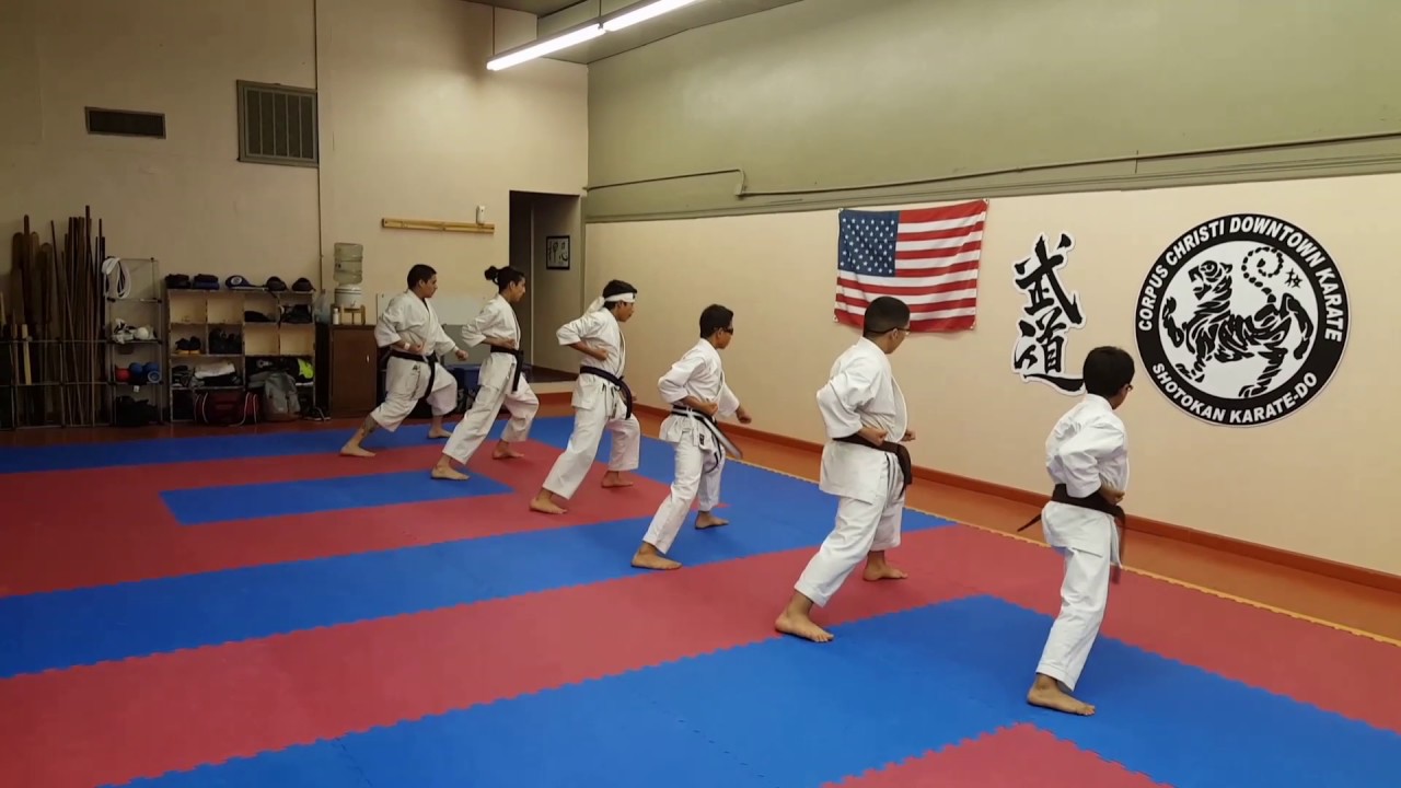 Shotokan Karate Do Zenkutsu-dachi (Front-stance)  Kihon Kumite Drill