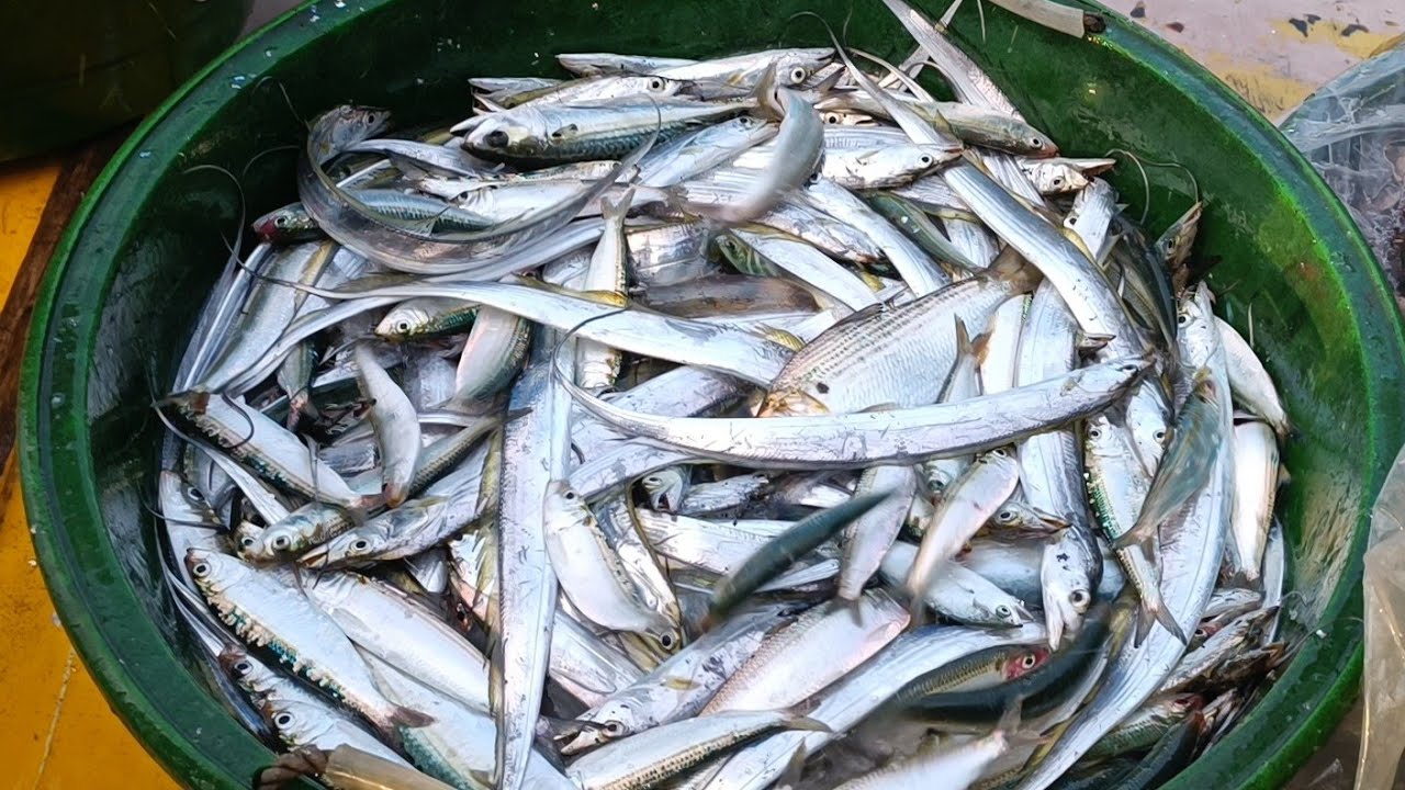 Sea to Table