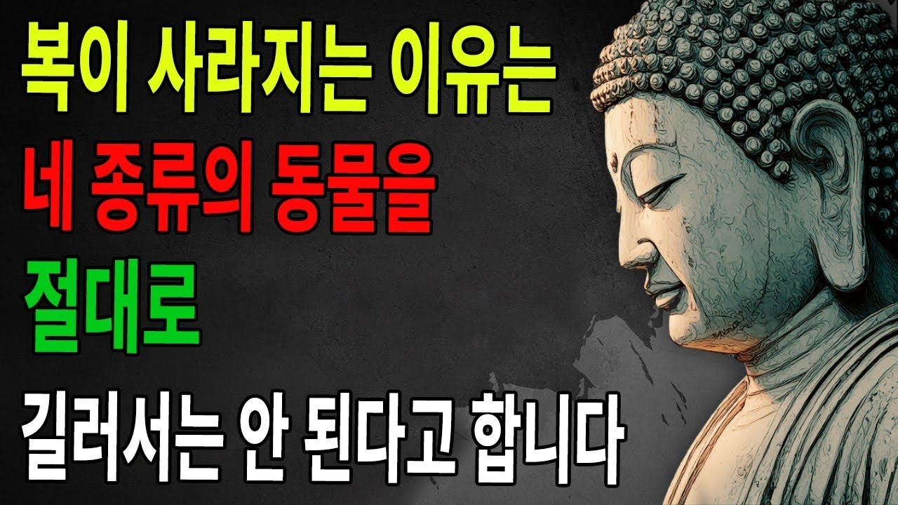 집 안에서 절대 키우지 말라고 하는 네 가지 동물, 보살께서 네 글자로 경책하신 그 말 속에 이런 동물들을 키울 때 따라오는 인과가 모두 담겨 있다. 【반려동물｜인과｜보살】