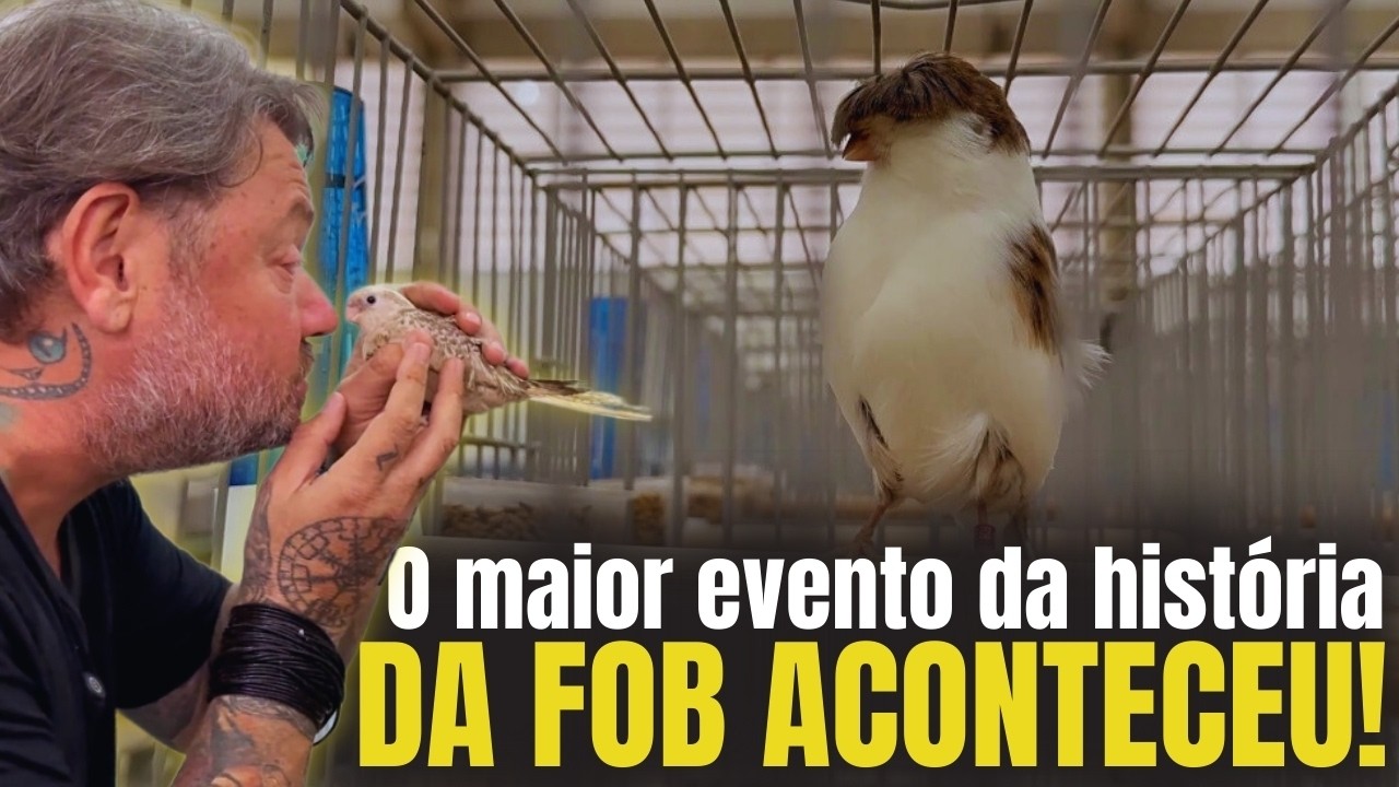 🔥 FORAM MAIS DE 80 MIL AVES! O MAIOR EVENTO JÁ FEITO NA HISTÓRIA DA FOB!