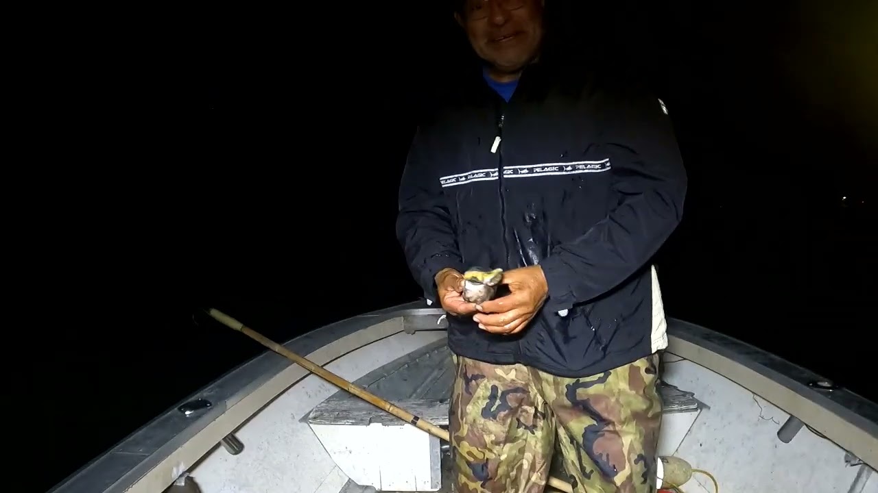 Otra buena pesca de langostas temporada 2026 en California 
