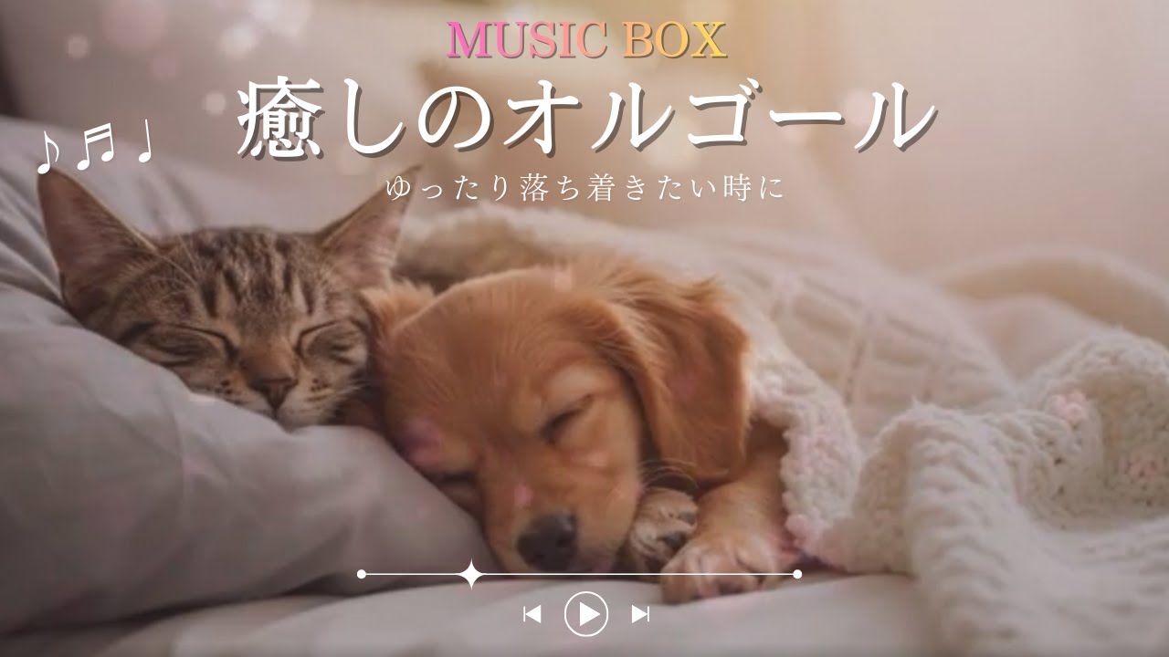 癒しのBGM｜Drifting off to sleep, enveloped in the soft chime of a music box.
