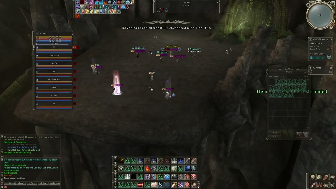 90 lvl gvgs - l2 cocojambo