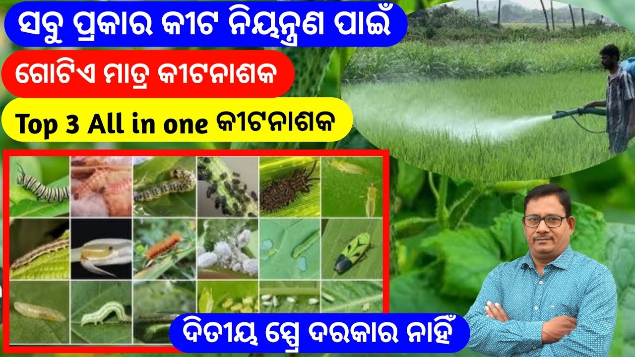 ସବୁ ପ୍ରକାରର କୀଟ କୁ ନିୟନ୍ତ୍ରଣ ପାଇଁ ଗୋଟିଏ କୀଟନାଶକ Top 3 Pesticide