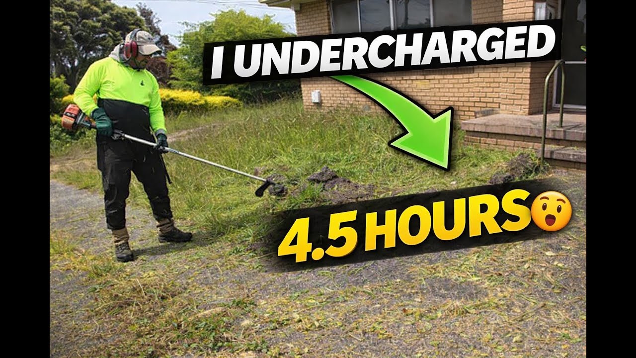 “This Overgrown Yard Taught Me a Costly Lesson”