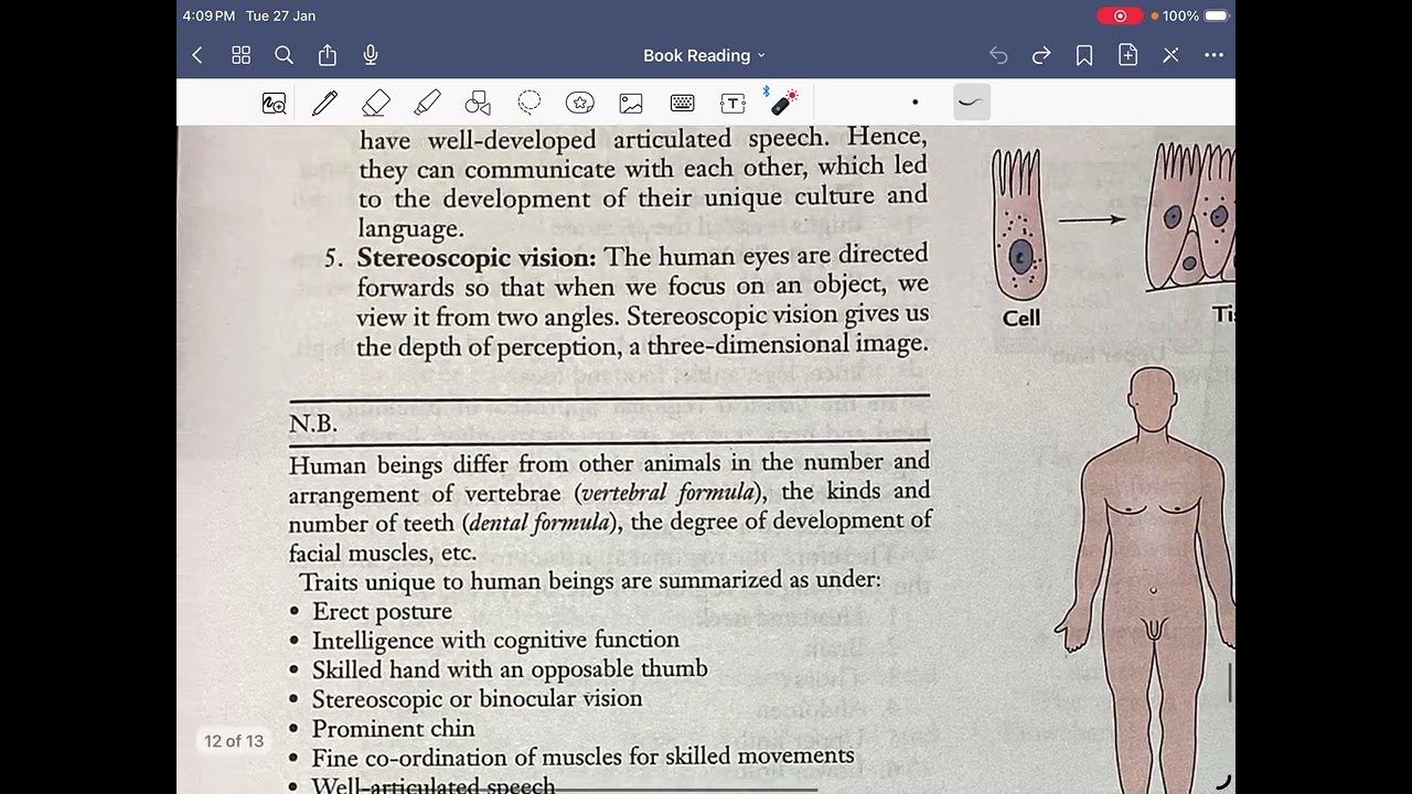 Architecture and design of human body