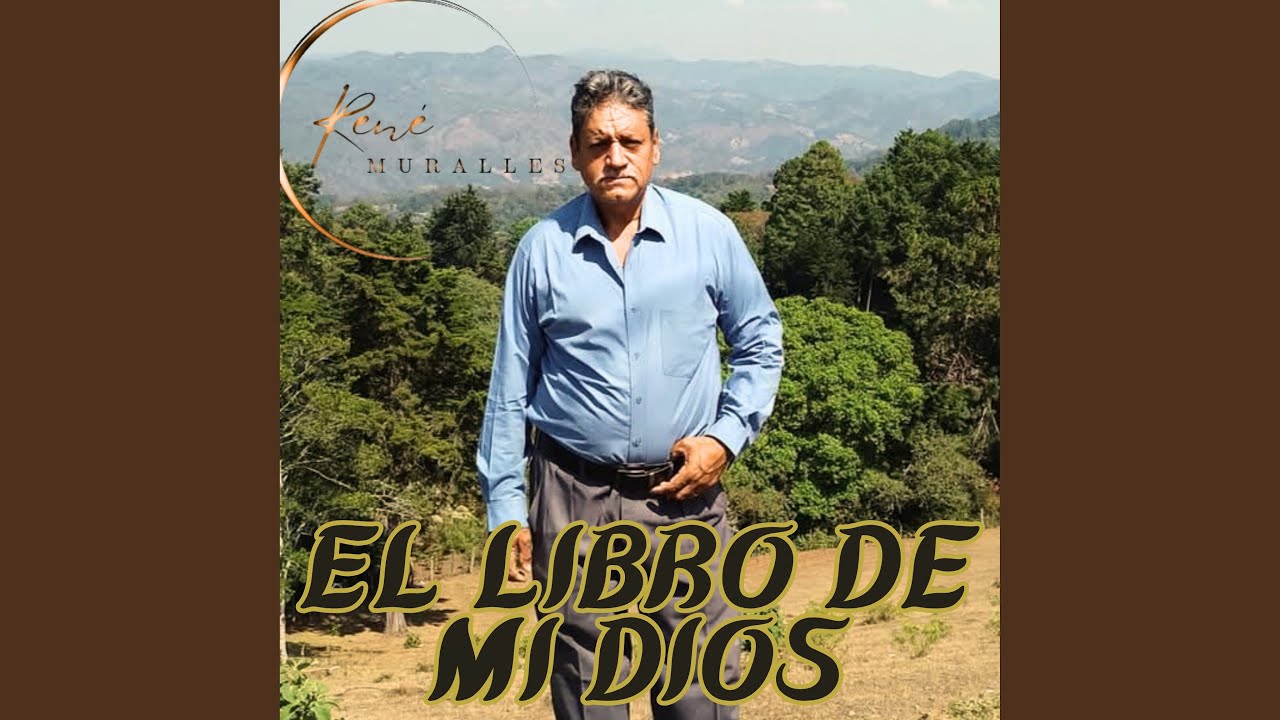 Viajando voy (Remix)