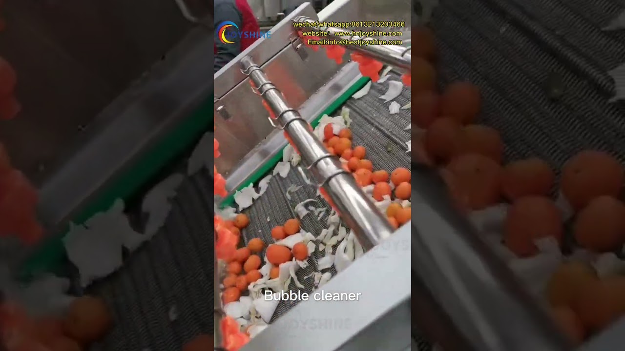 vegetable fruit washing machine|orange washing line|leafy vegetable washing line | vegetable washer