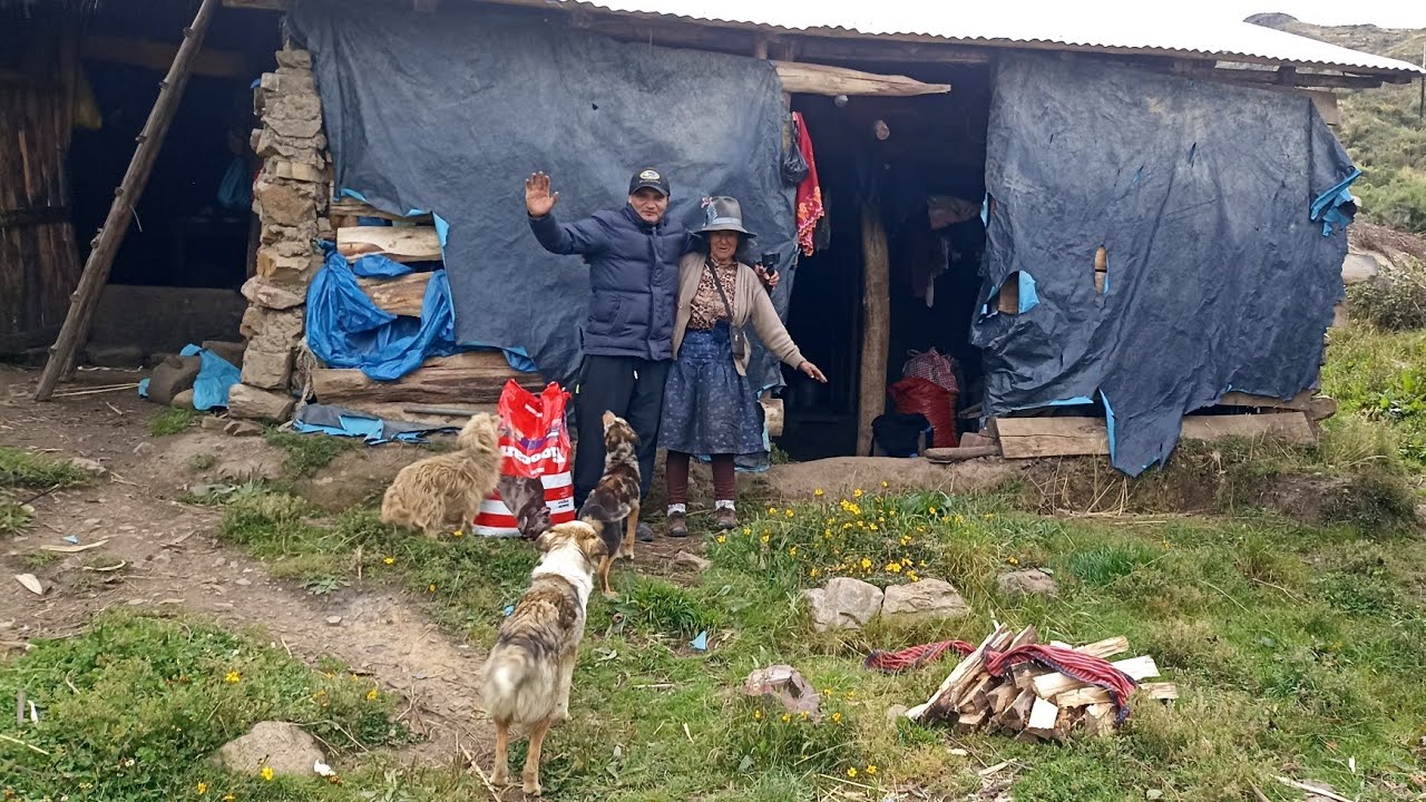 Ya Tiene LUZ la MAMITA que vivía sola con sus tres perros..
