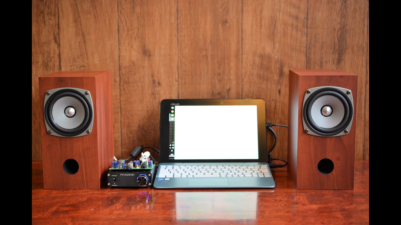 FOSTEX  P1000K vs FF105WK