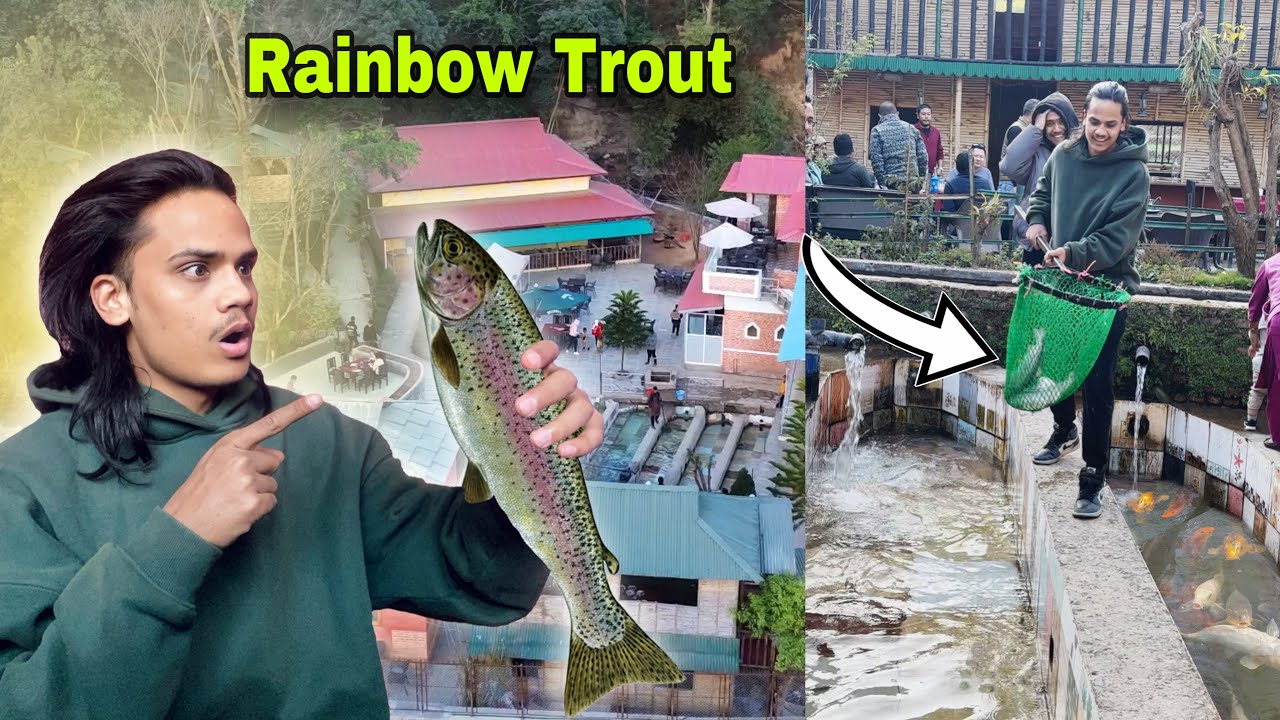 Trout Fishing Near Kathmandu | Sirupate Trout Farm In Godawari | Fresh & Delicious |