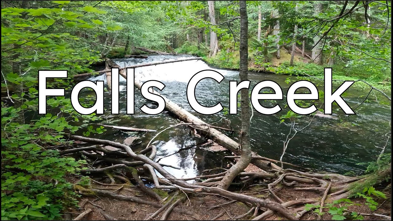 One of Portland’s Favorites || Falls Creek