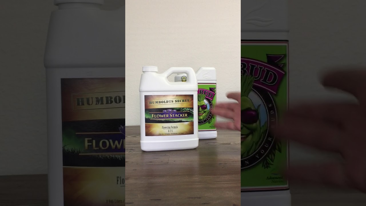 Лучшая альтернатива Advanced Nutrients Big Bud