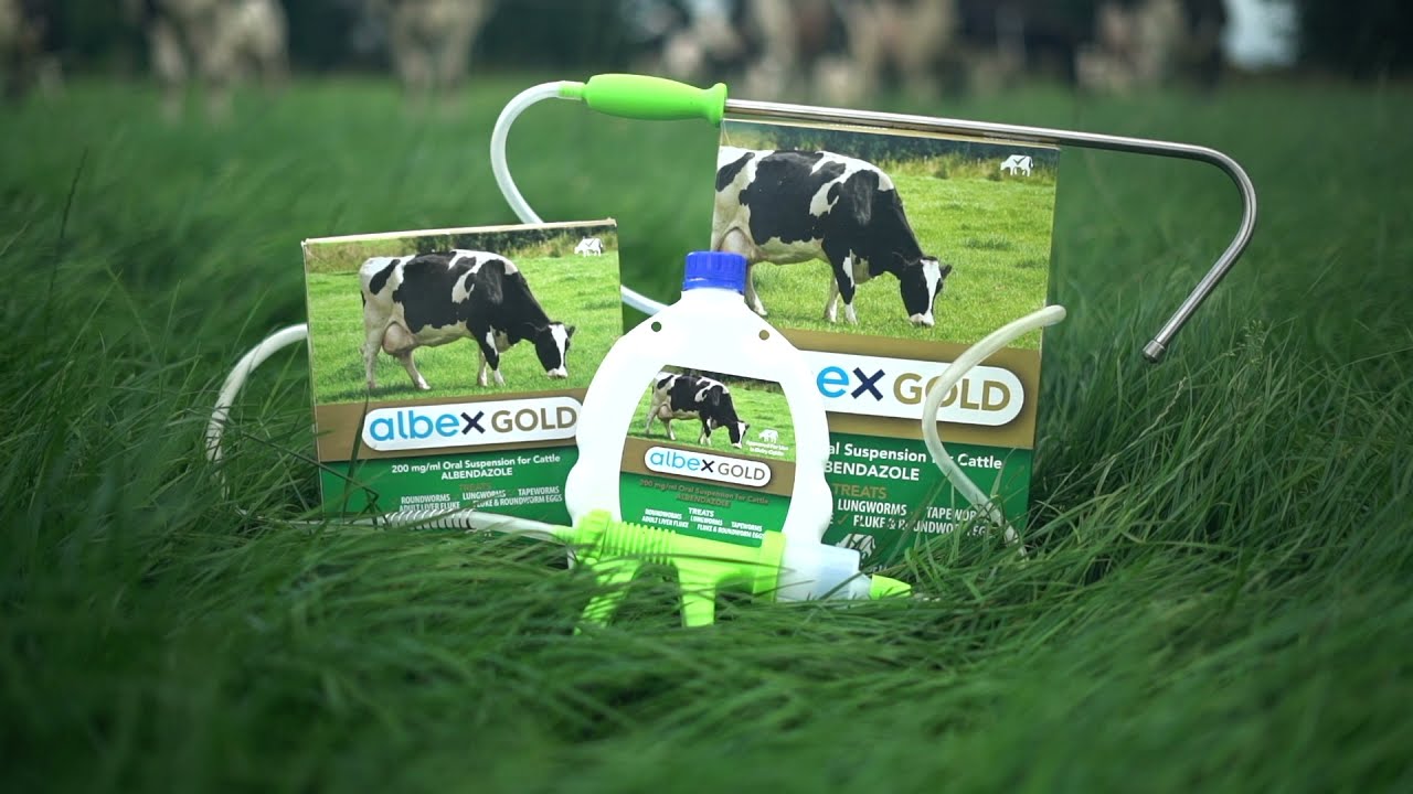 Parasite Planning on Dairy Farms with Albex Gold