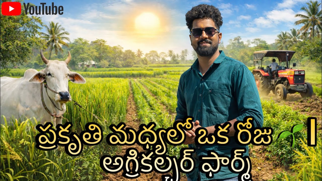 అగ్రికల్చర్ FARM ని చూద్దాం రండి 🫴 || Odisha farm || @happykrishi 