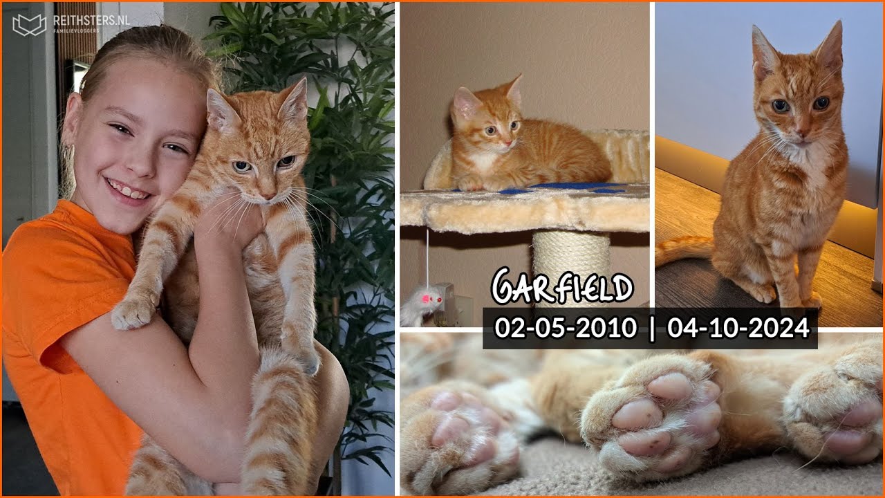 DAG LIEVE GARFIELD! WE GAAN JE MISSEN... 🐈 - VLOG #618