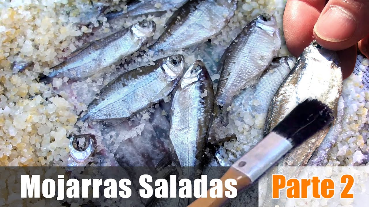 Cómo hacer Mojarras saladas (2da parte)