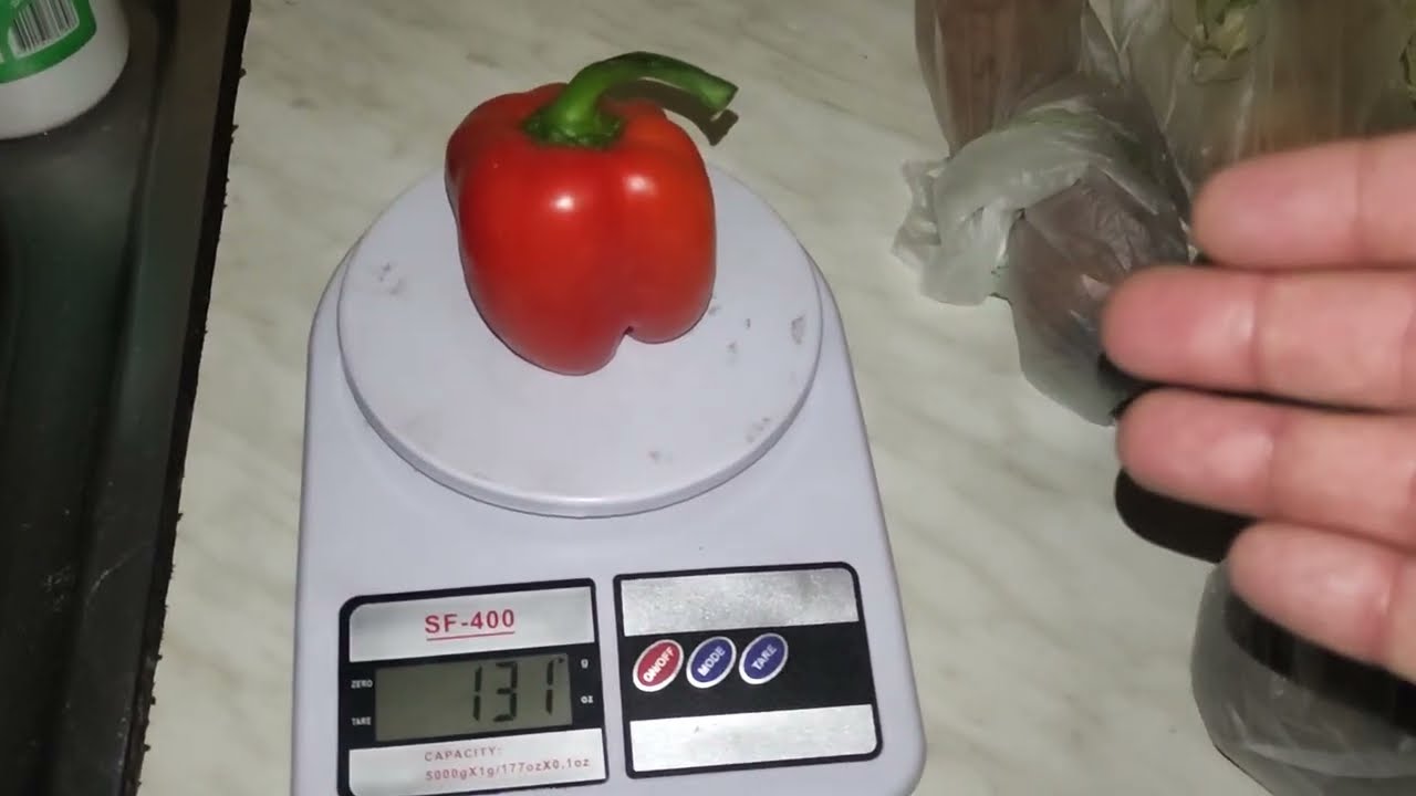 ВЫЖИВАНИЕ 💥НА 60 гривен В ДЕНЬ (1.40 $ )🇺🇦