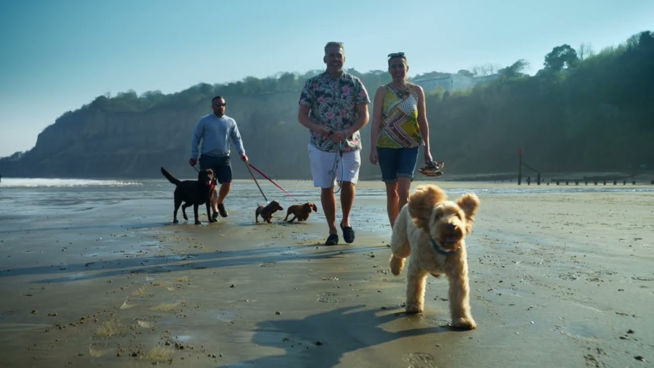 Dog Friendly Holidays, Luccombe Manor Country House Hotel, Isle of Wight