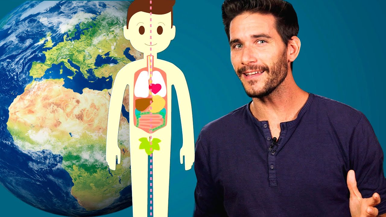 ¿Cómo surgió la vida en la Tierra?