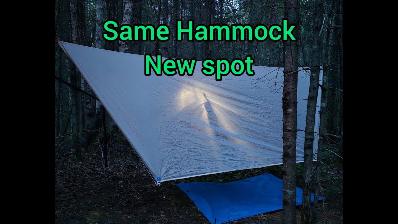 Same Hammock New Spot!