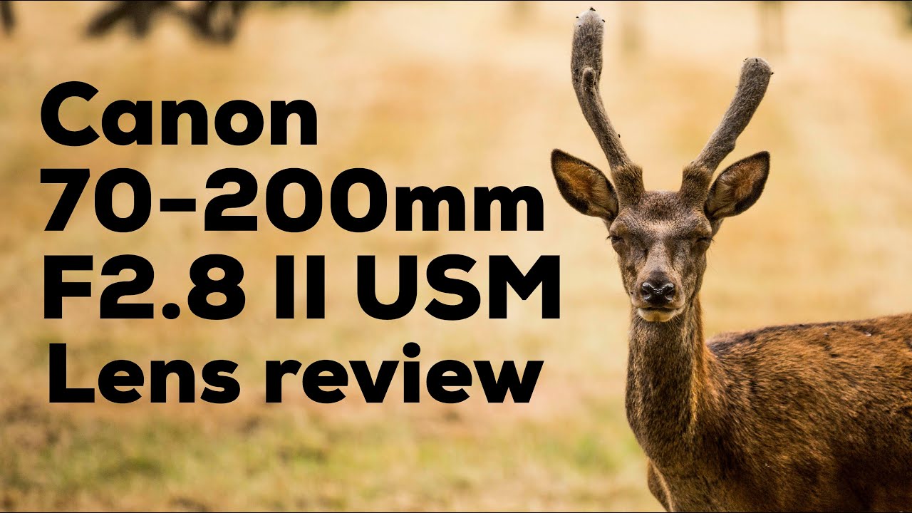 Canon 70-200mm f/2.8 L IS II USM Реальный обзор — с примерами фотографий!