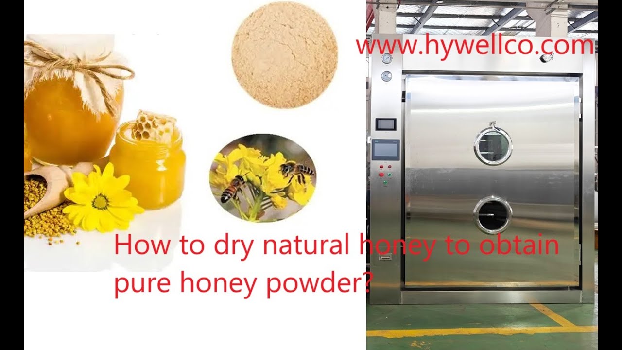 How to dry natural honey to obtain pure honey powder? High efficiency vacuum dryer