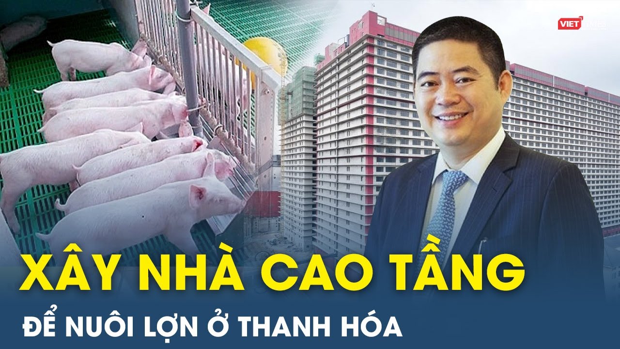 Xuân Thiện muốn XÂY NHÀ cao tầng để NUÔI LỢN ở Thanh Hóa