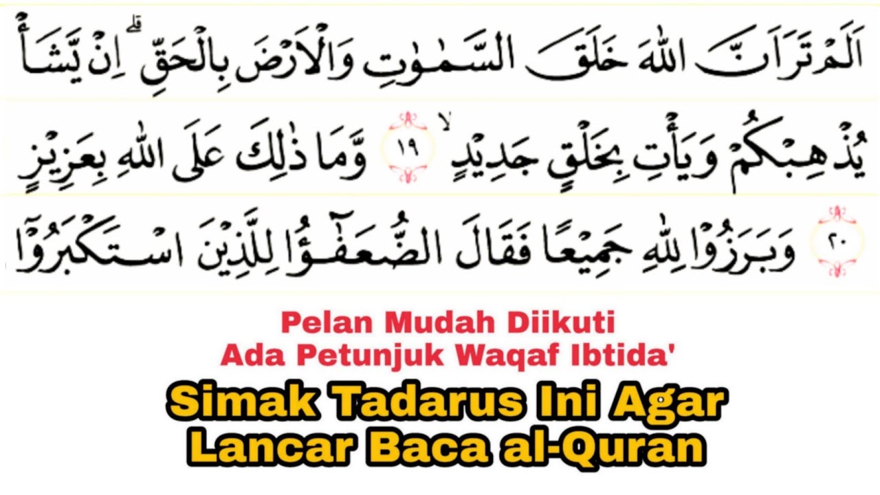 Tadarus Surat Ibrahim Ayat 19-52 Ada Tanda Warna Panjang & Dengung Agar Lancar Baca al-Quran