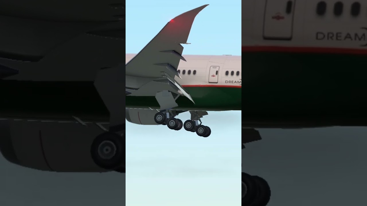 Boeing 787-10 Dreamliner EVA Air Landing ✈️ #aviation
