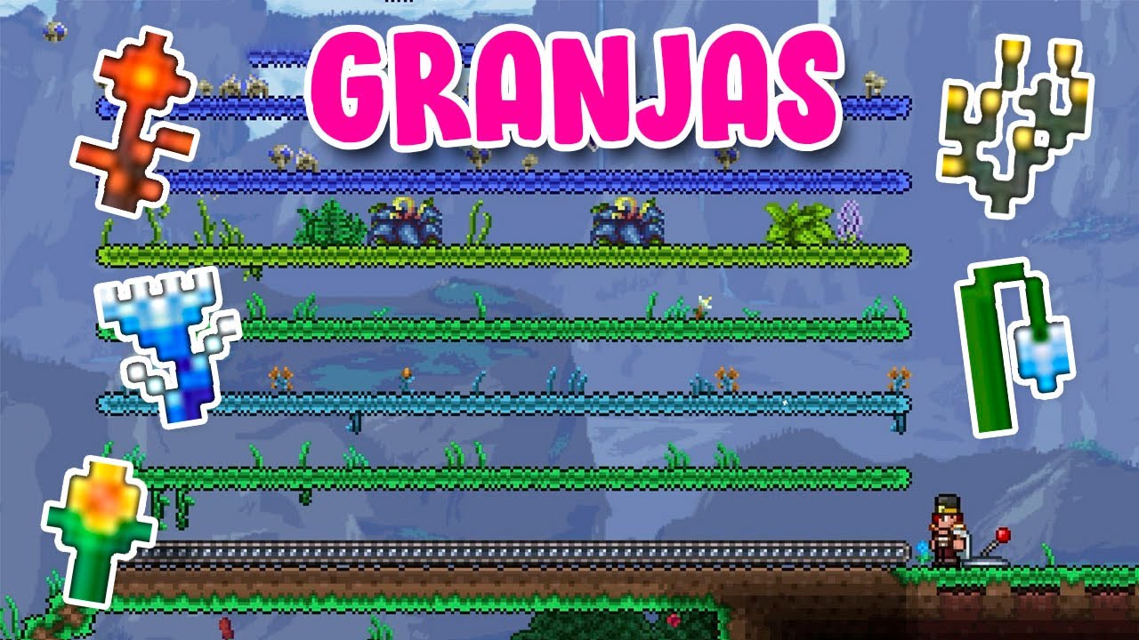 CÓMO HACER UNA GRANJA DE PLANTAS, CEBOS, HONGOS EN TERRARIA