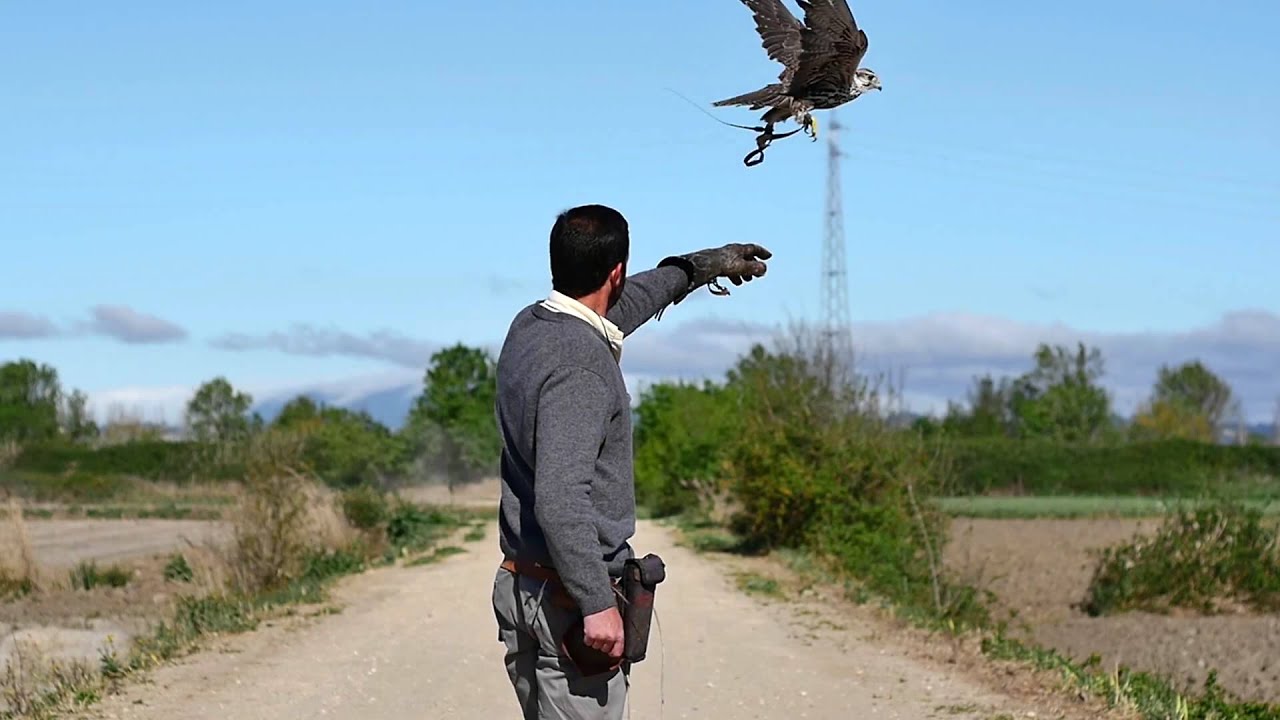 Município de Salvaterra de Magos