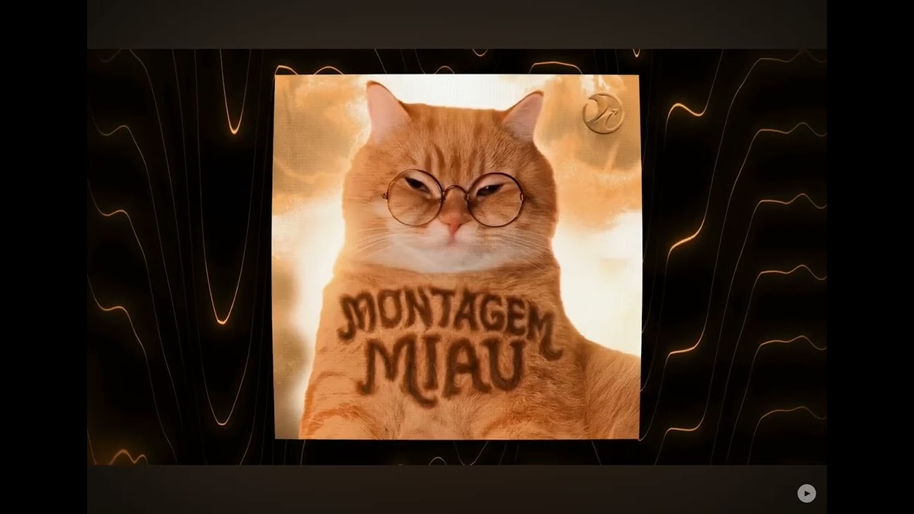 MONTAGEM MIAU(It sound good):D