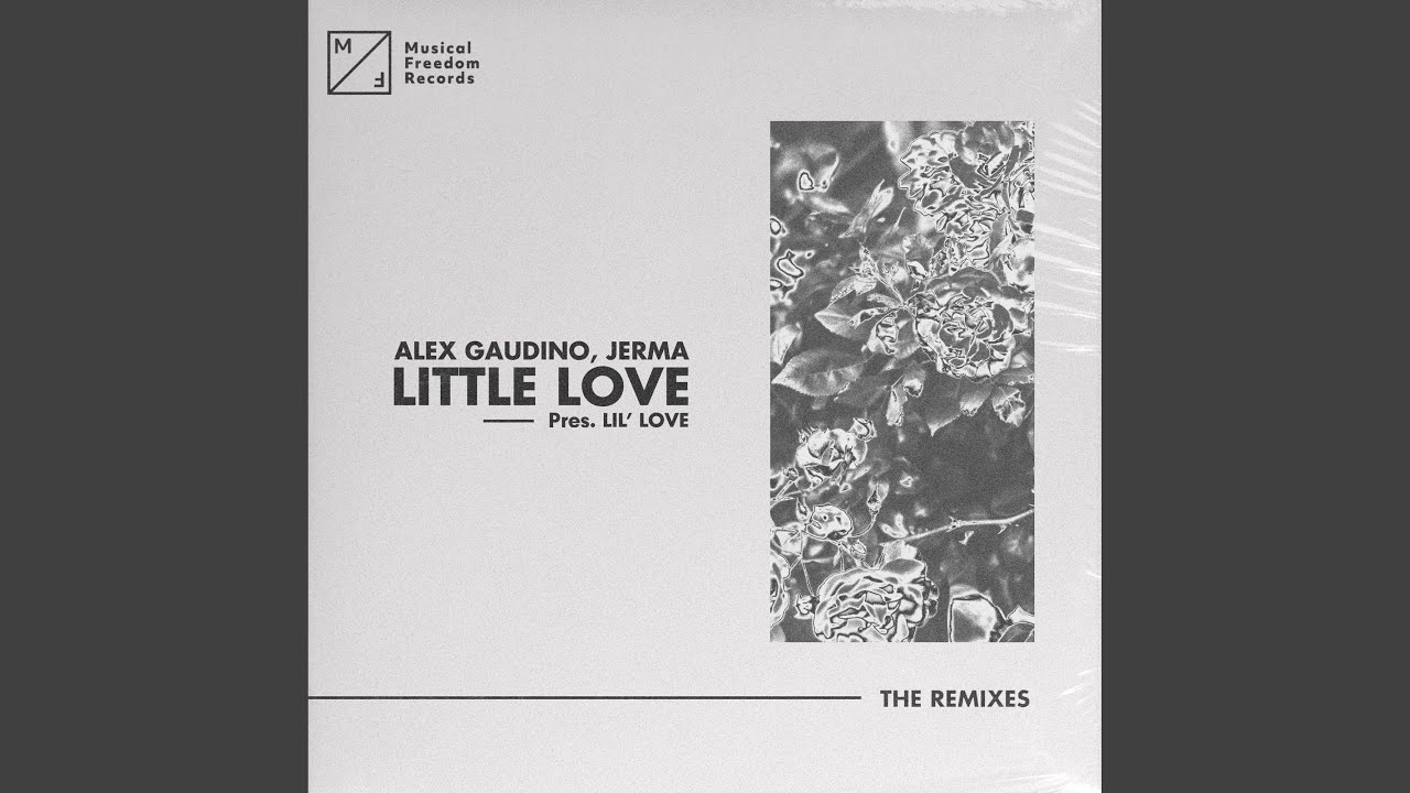 Little Love (pres. Lil' Love) (Alex Gaudino & Hiisak Extended Remix)