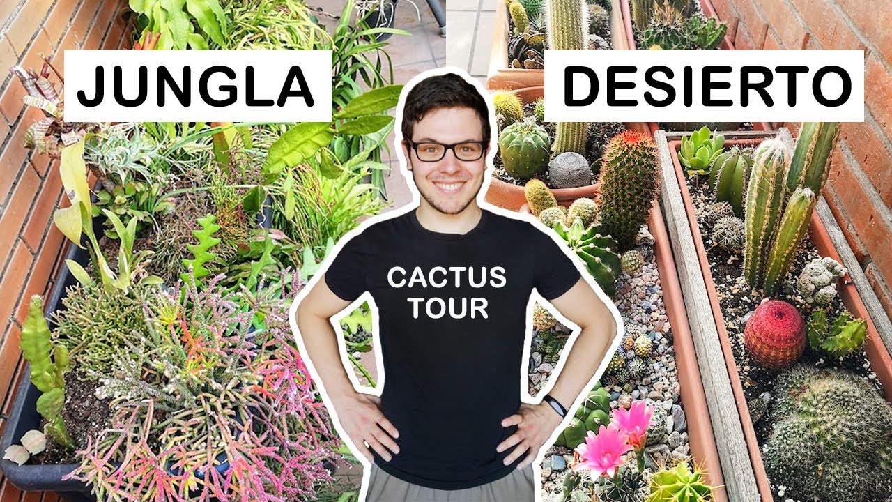 CACTUS TOUR por mi terraza (Barcelona 2022)