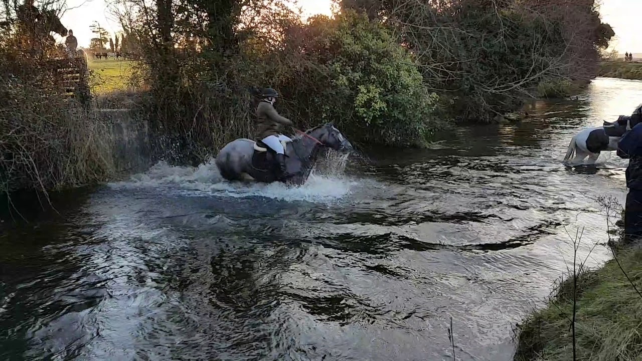 Stephen Lawler memorial hunt kildangan