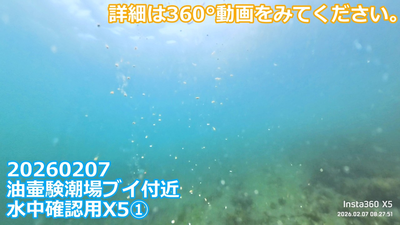 20260207X5①油壷験潮場ブイ付近水中確認用(08:12:21～08:43:03)チャプター付き