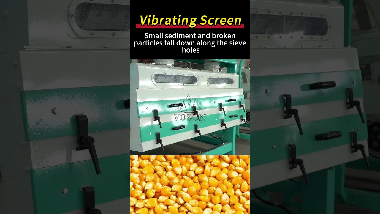 Vibrating Separator for Flour Milling | Efficient Grain Cleaning Machine