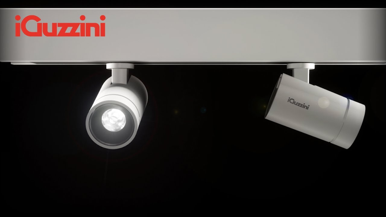 Palco: System Accuracy
