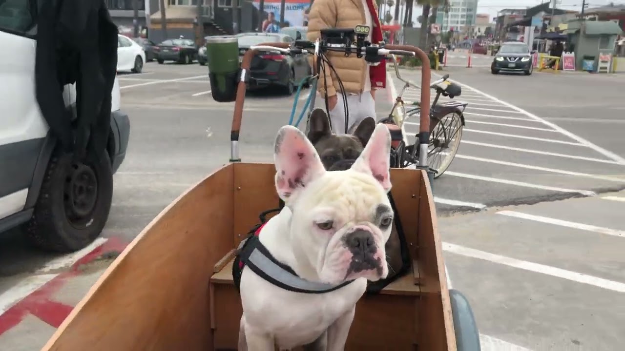 Pleasant ride on Venice Pier and Ocean Front Walk in Venice Beach