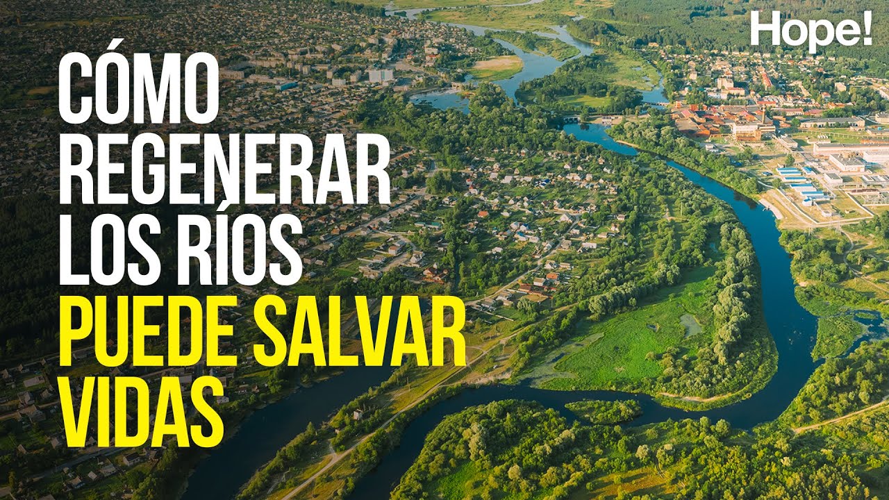 Regenerar los r&iacute;os puede salvar vidas. 3 ejemplos de &eacute;xito.